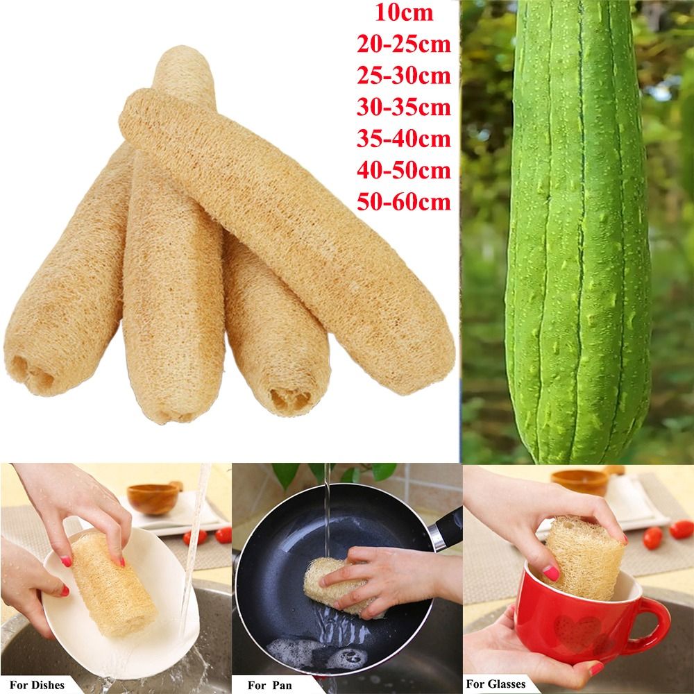 Body Loofah Natural - Spugna Naturale di Luffa Lunga, Ecologica,