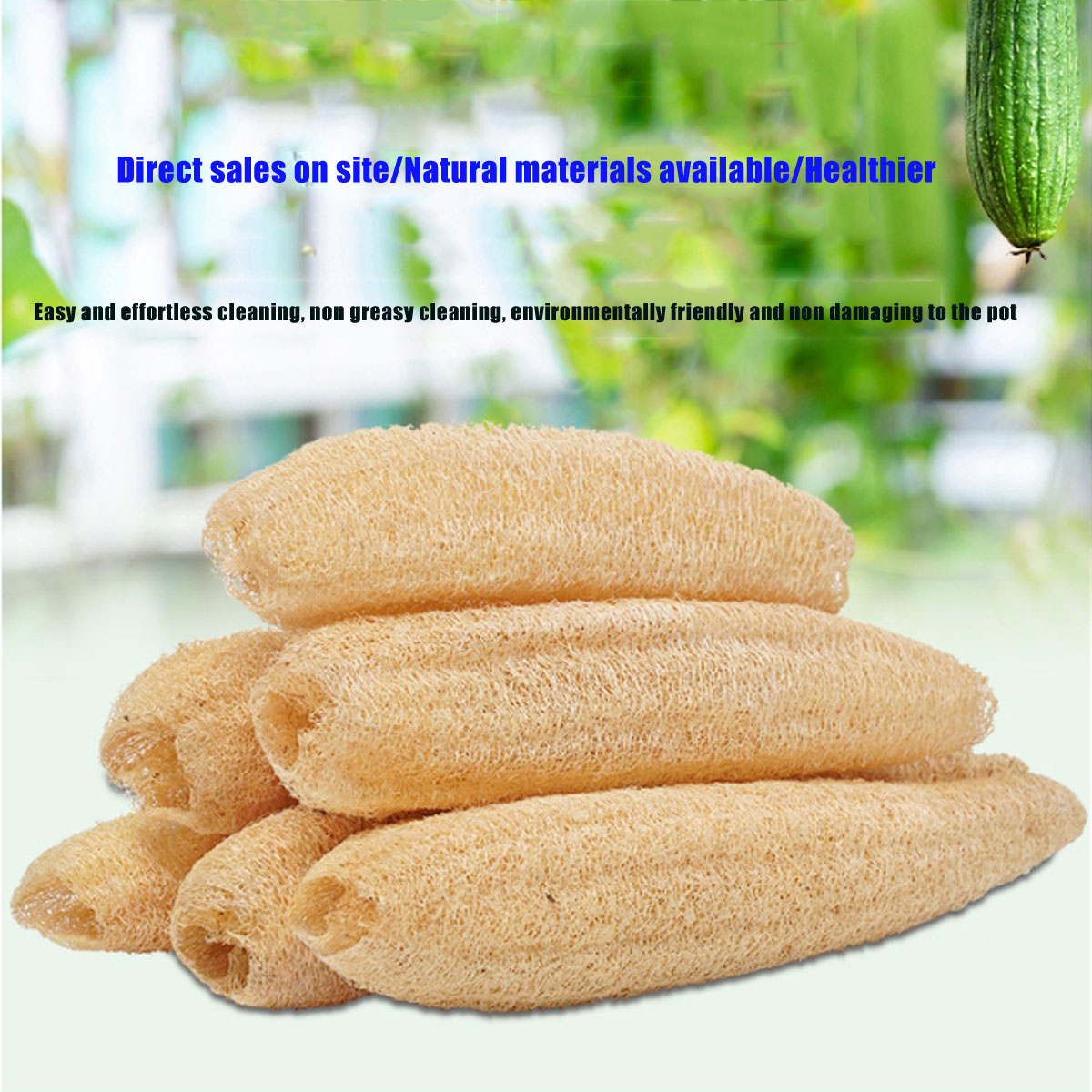 1 Pezzo Spugna Naturale Luffa  - Body Loofah Natural recensione e prezzo