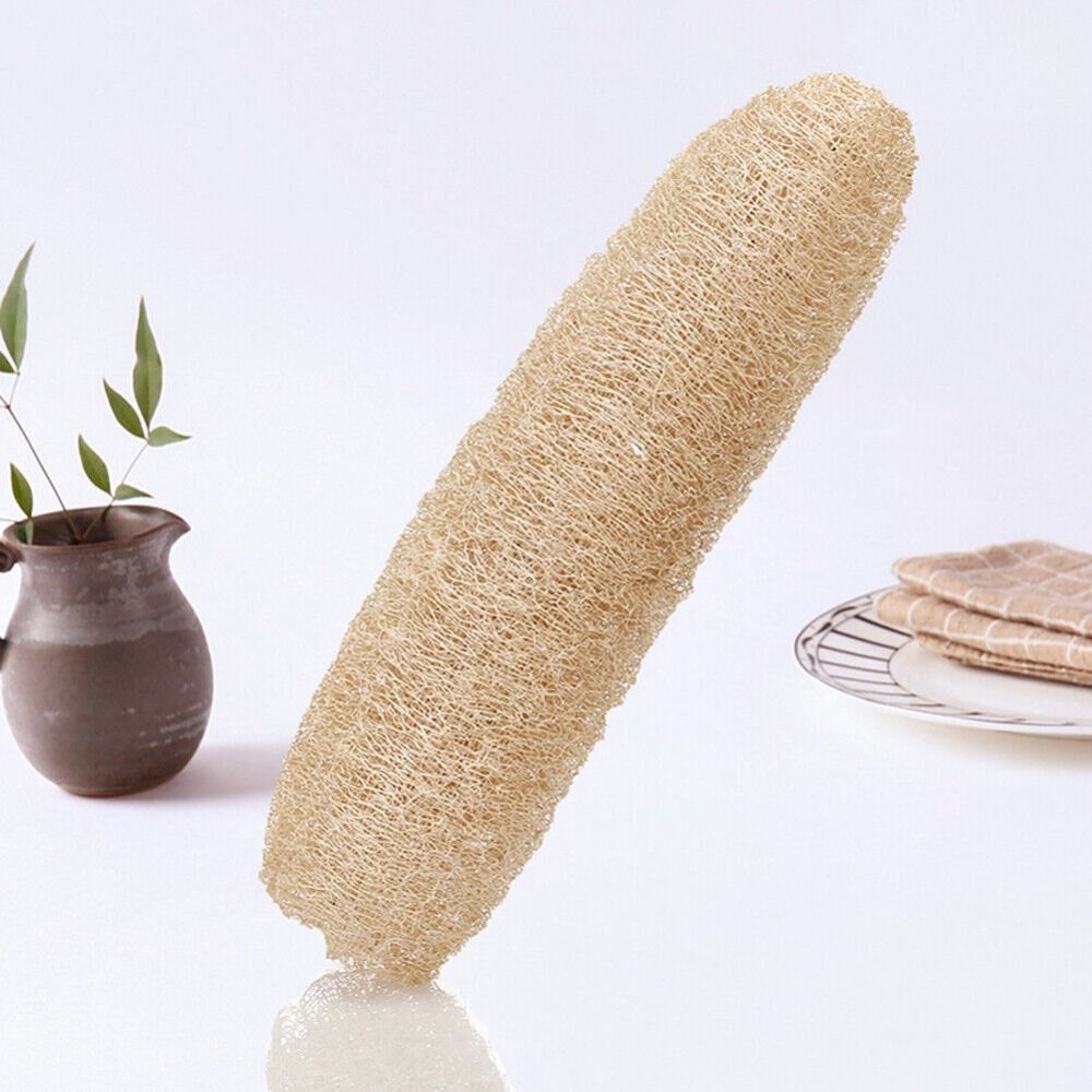 Spugna Naturale di Luffa Lunga - Body Loofah Natural recensione e prezzo
