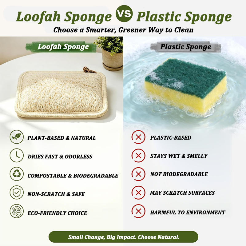 Spugna Naturale in Luffa Riuti - Body Loofah Natural recensione e prezzo