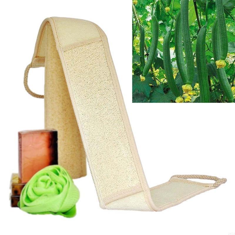 28ta 70 Loofah Natural Back St - Body Loofah Natural recensione e prezzo