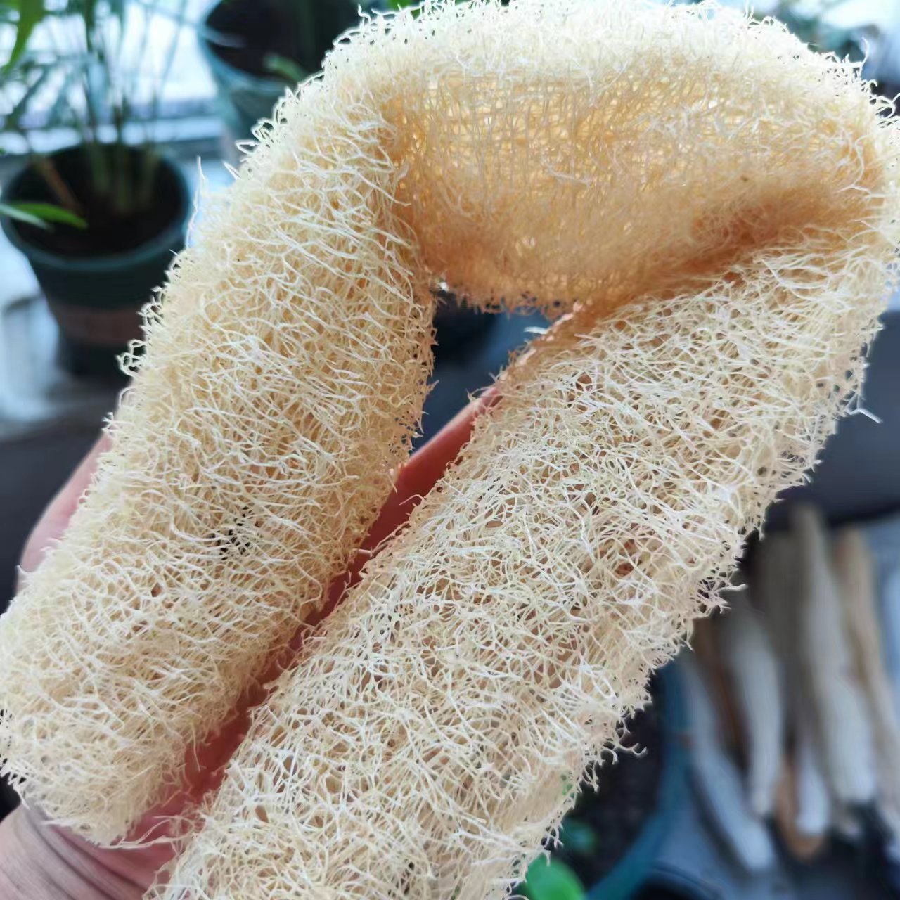 Meravigliosa spugna di luffa V - Body Loofah Natural recensione e prezzo