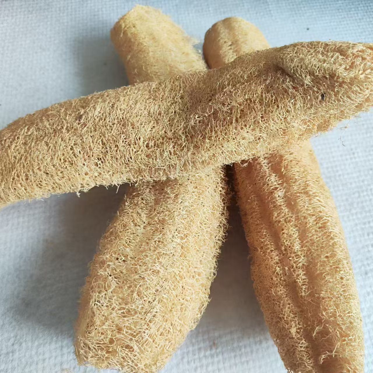 Meravigliosa spugna di luffa V - Body Loofah Natural recensione e prezzo